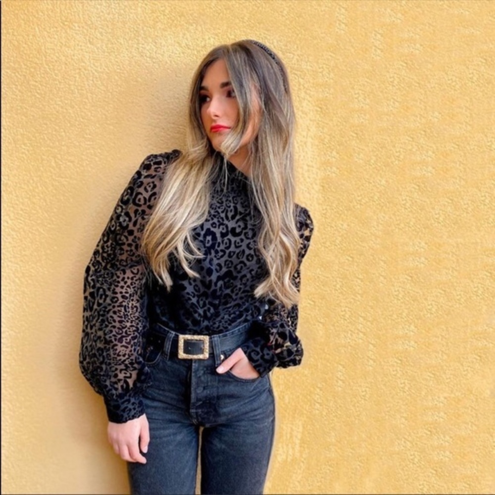 Zara NWT organza blouse - Picture 1 of 10